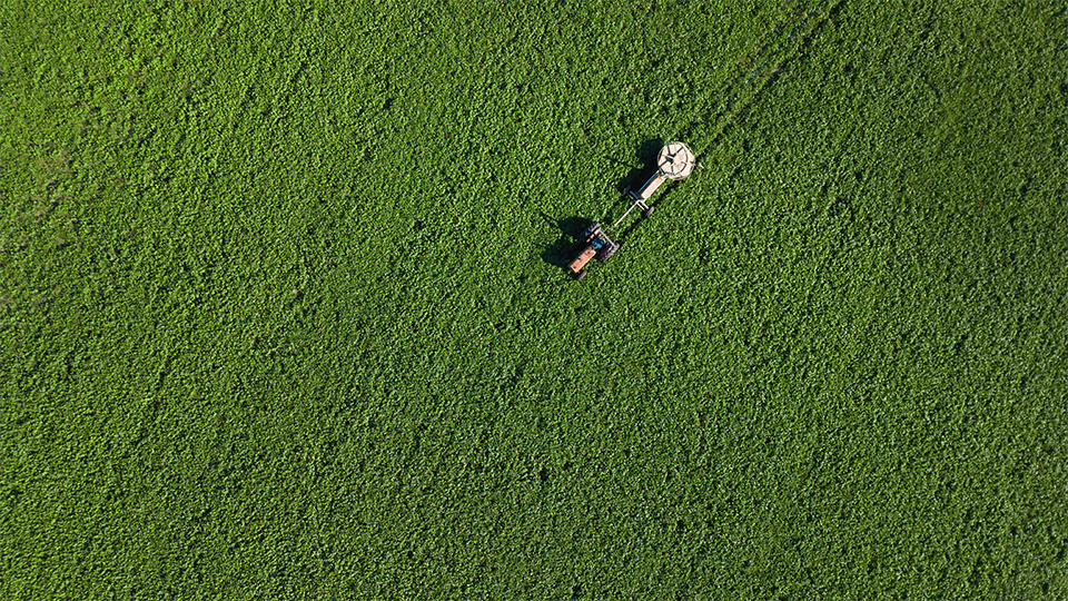 Fairbank-Location-Brush